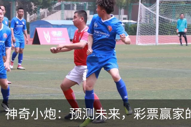 神奇小炮：预测未来，彩票赢家的秘密武器！